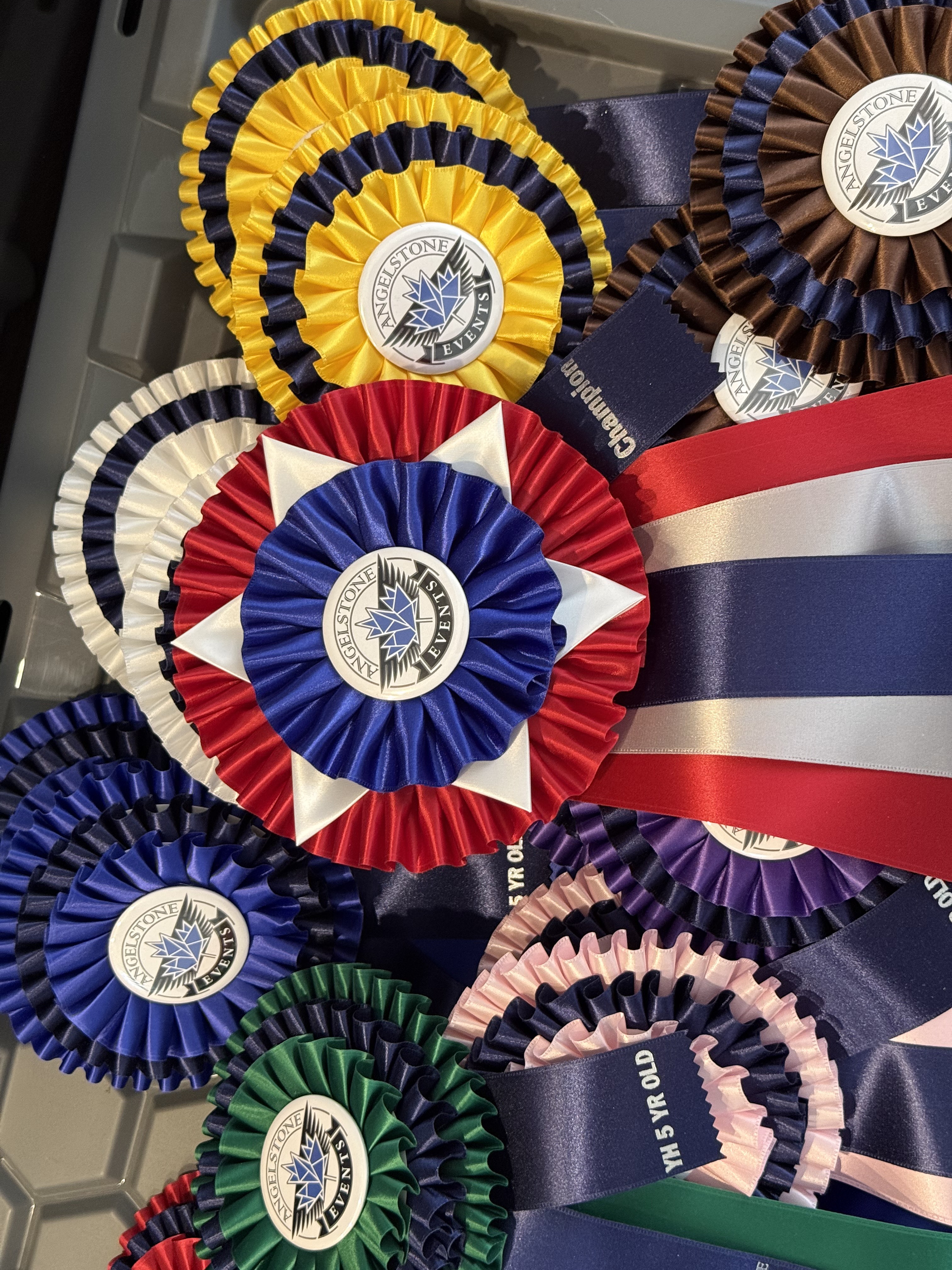Champion Rosettes