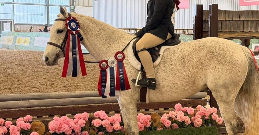 Championship Rosettes